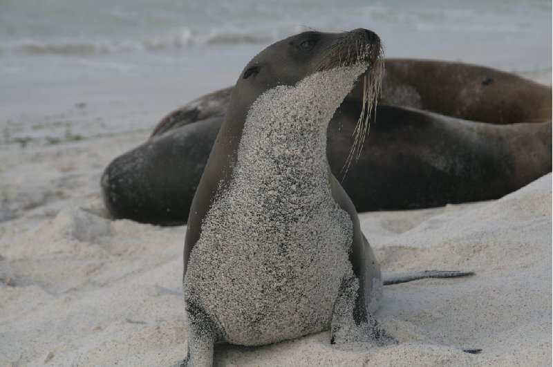 Galapagos Islands Ecuador Photo