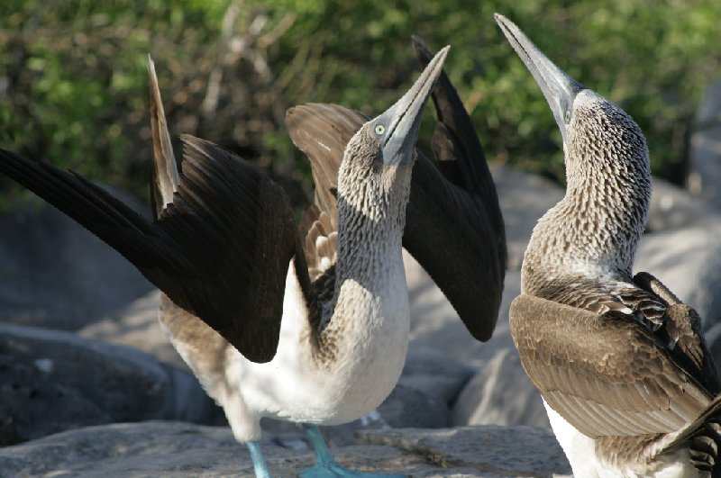 Photo Galapagos Islands travel packages visited