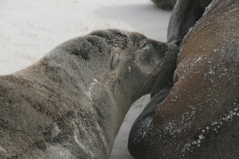 Galapagos Islands Ecuador Blog Photos