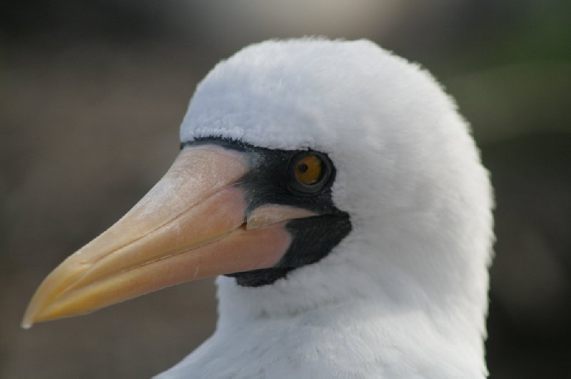 Galapagos Islands Ecuador Travel Gallery