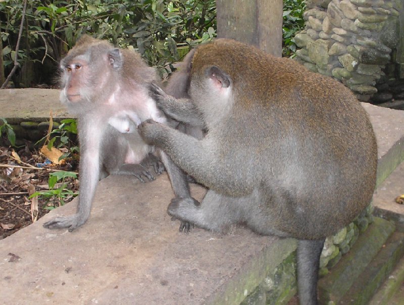 Photo Holiday in Bali visiting