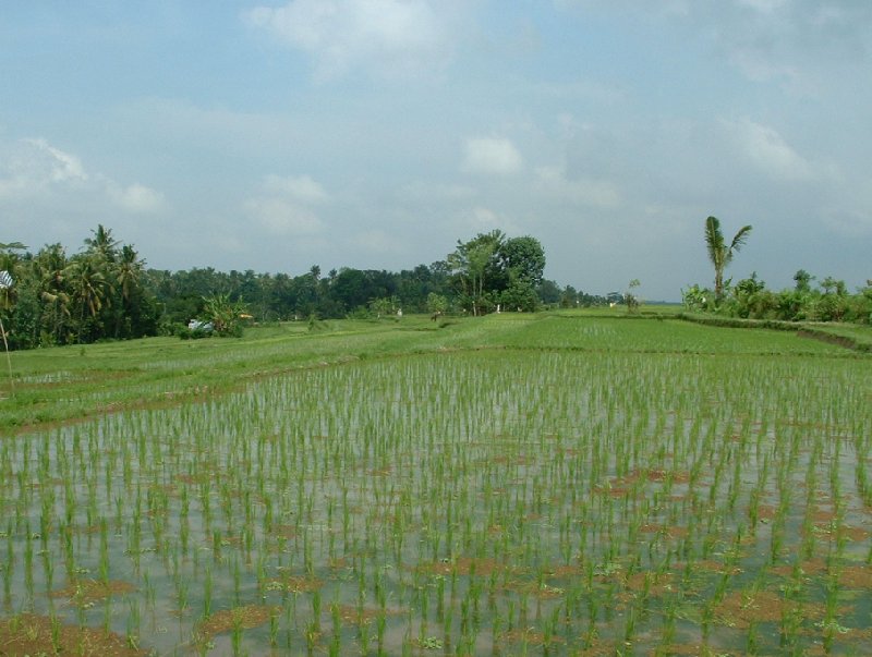 Denpasar Indonesia 