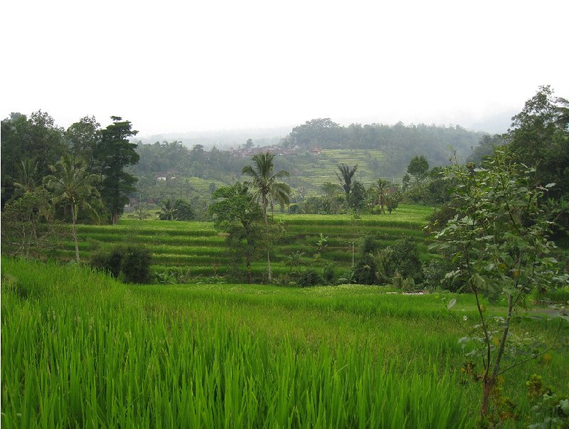 Photo Holiday in Bali Pacific