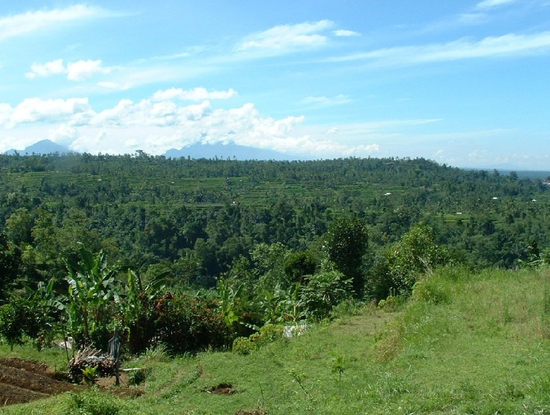 Denpasar Indonesia 