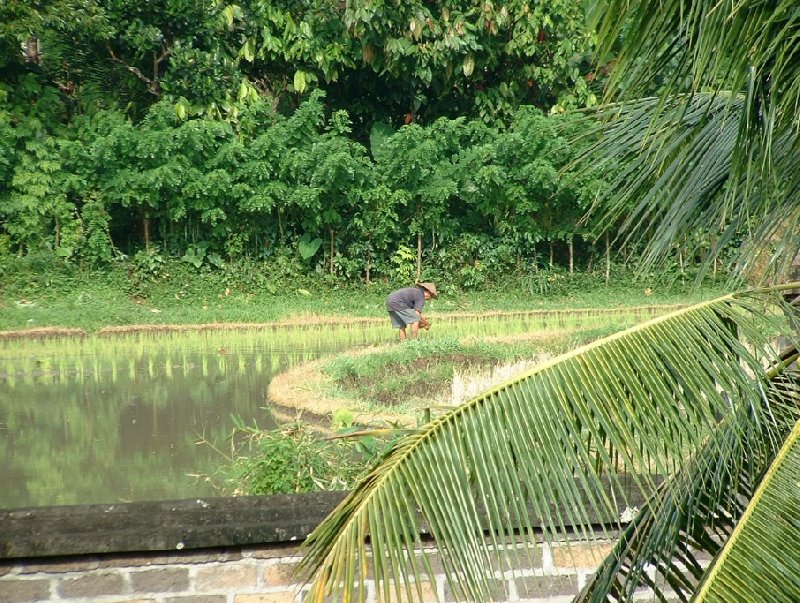 Denpasar Indonesia 