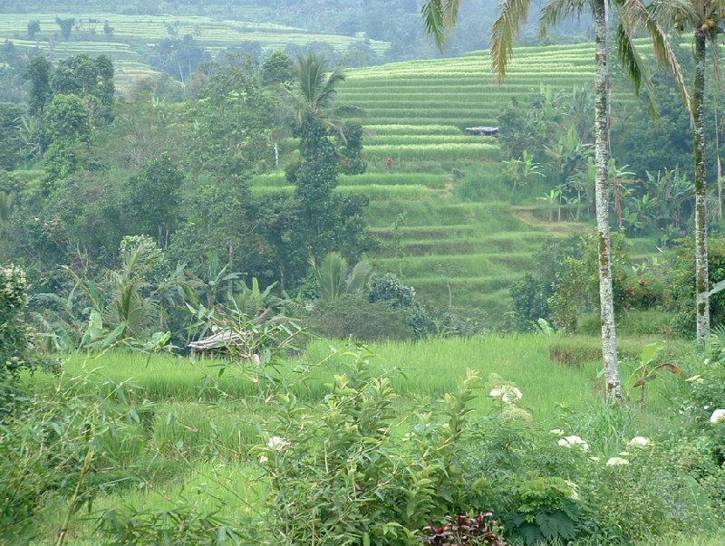 Holiday in Bali Denpasar Indonesia Blog Review