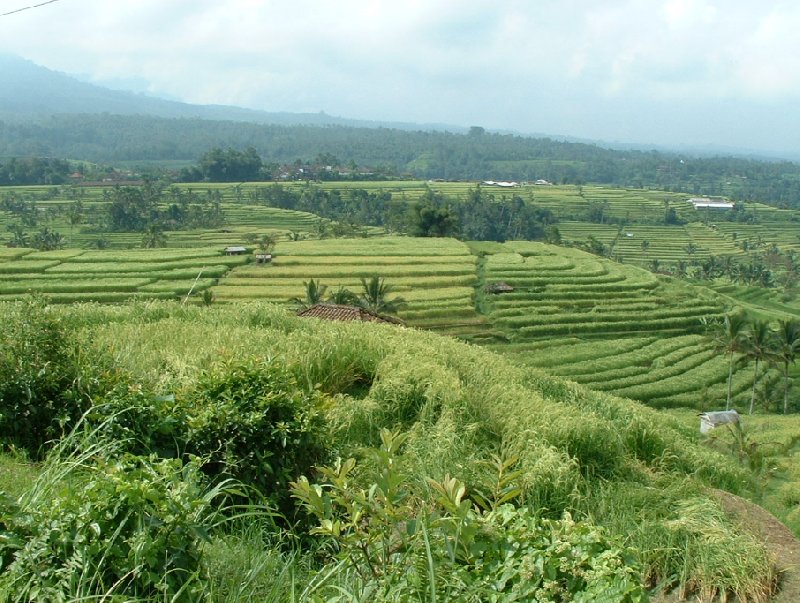 Denpasar Indonesia 