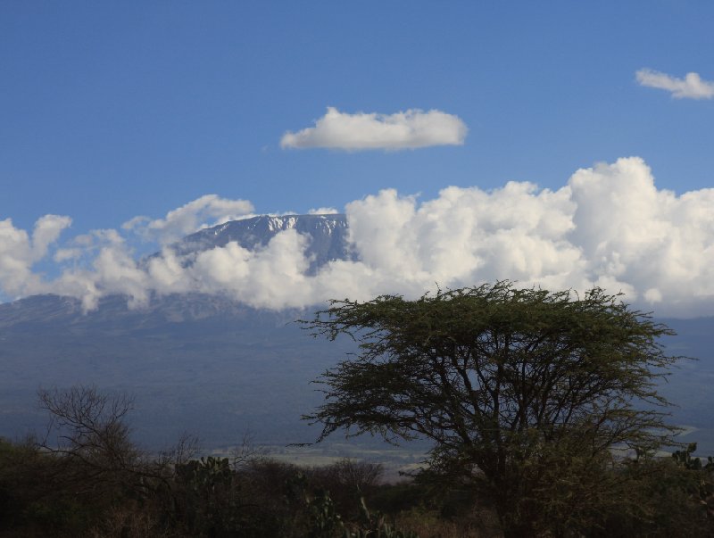 Amboseli Kenya 