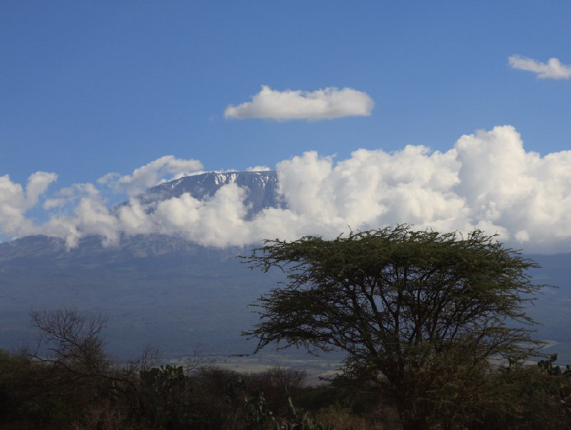   Amboseli Kenya Trip Photo