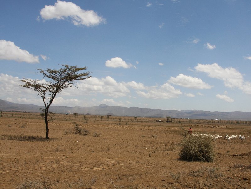   Amboseli Kenya Blog Photo
