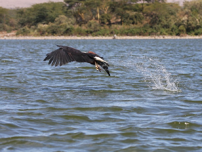   Amboseli Kenya Adventure