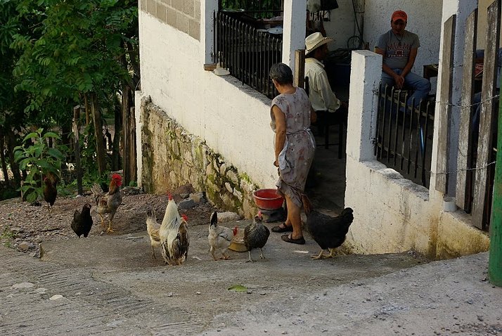 Mayan ruins in Honduras Copan Diary Photo