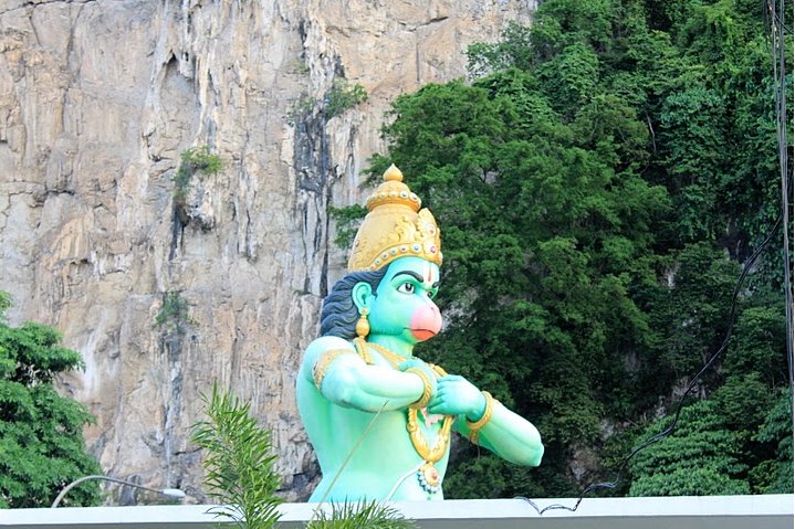 Photo Thaipusam festival 2010 starts