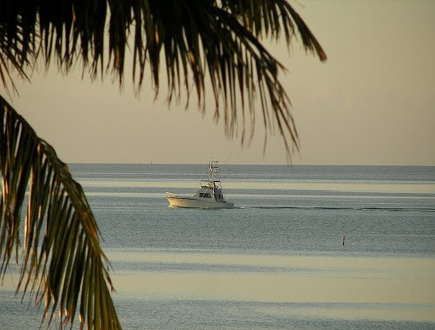 Photo Romantic getaway in Florida Before