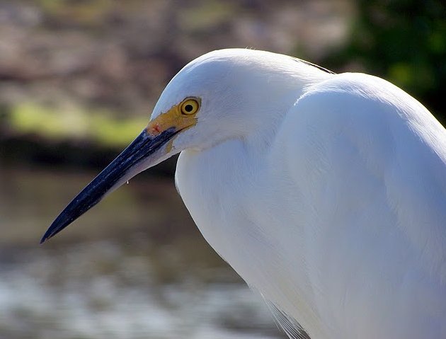Photo Romantic getaway in Florida heading