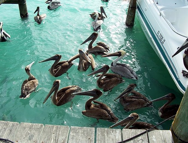 Photo Romantic getaway in Florida friends