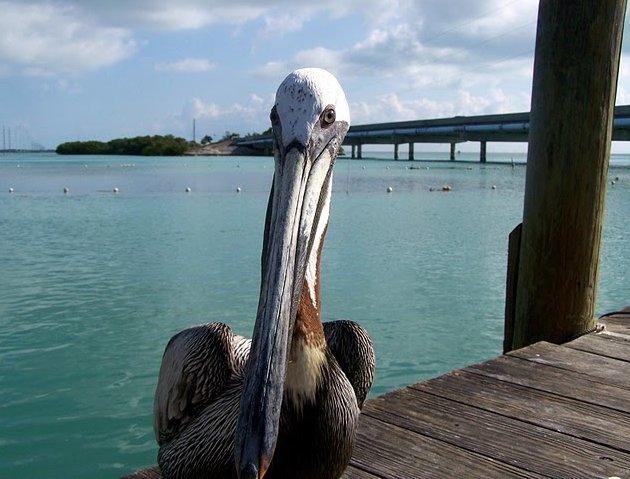Photo Romantic getaway in Florida Florida