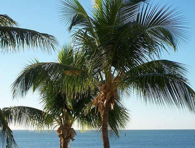 Photo Romantic getaway in Florida places