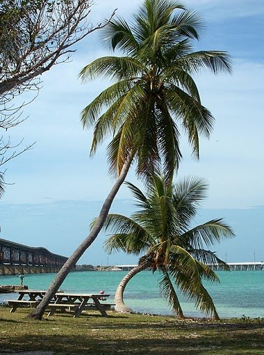 Photo Romantic getaway in Florida January
