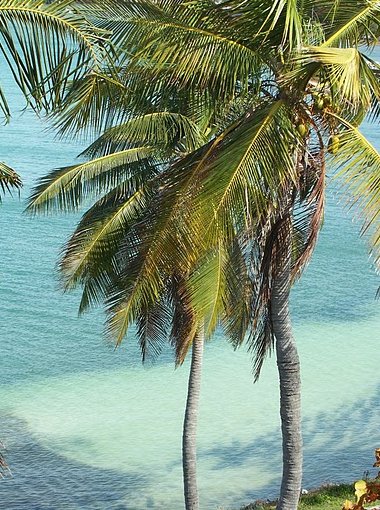 Photo Romantic getaway in Florida period