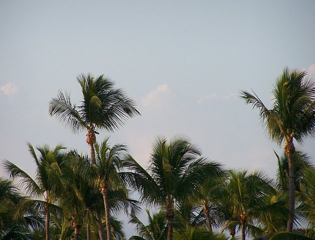 Photo Romantic getaway in Florida obviously