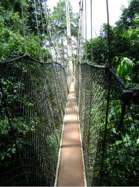 Kakum National Park Cape Coast Ghana Photo Sharing