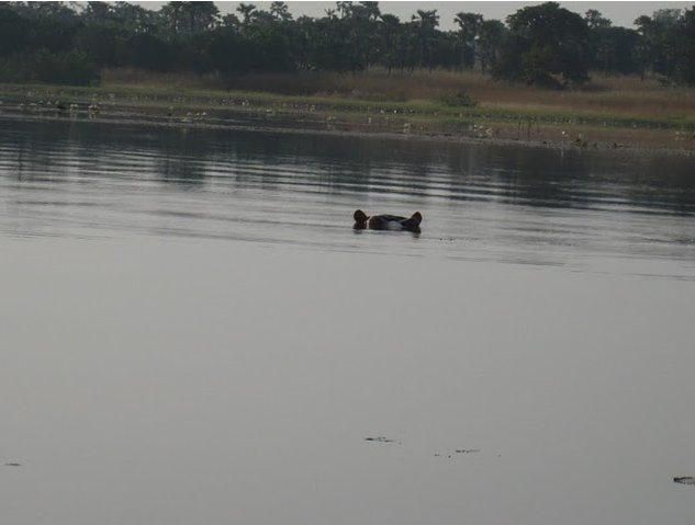   Banfora Burkina Faso Trip Sharing