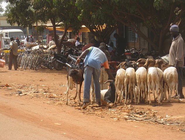 Burkina Faso Africa Banfora Picture gallery