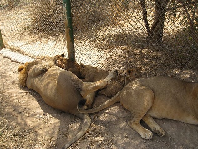   Banfora Burkina Faso Travel Blog