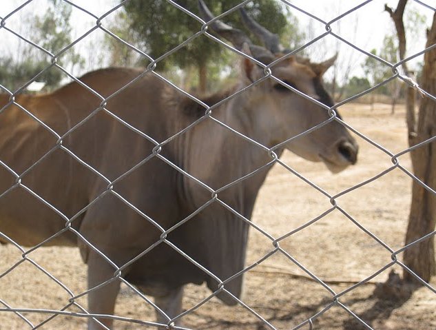 Banfora Burkina Faso 