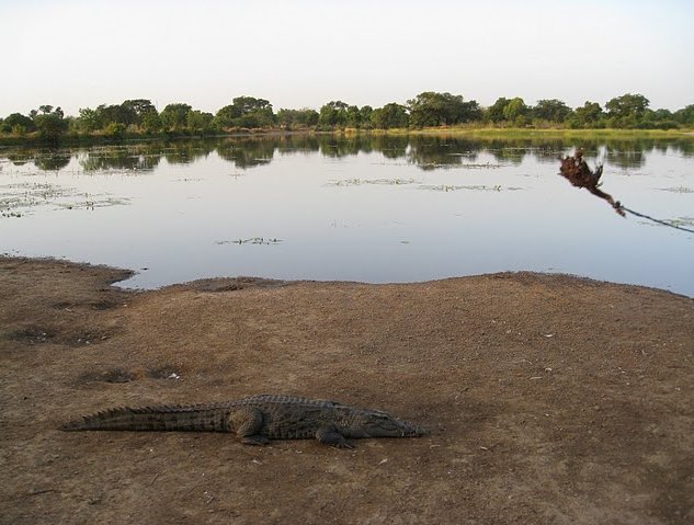   Banfora Burkina Faso Vacation Information