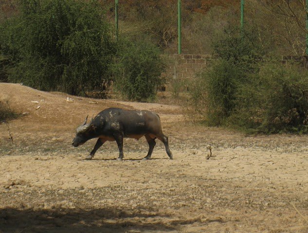   Banfora Burkina Faso Holiday Pictures