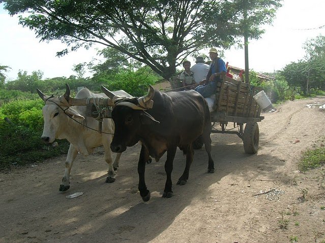 Nicaragua Travel Guide Granada Travel Gallery