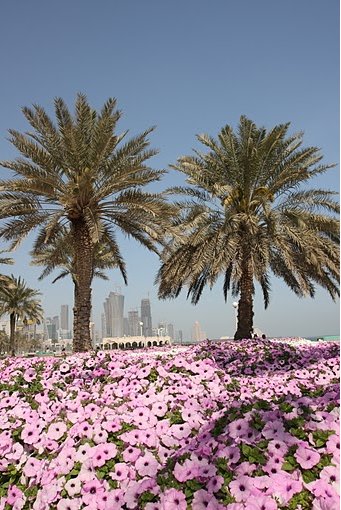 Doha Qatar 