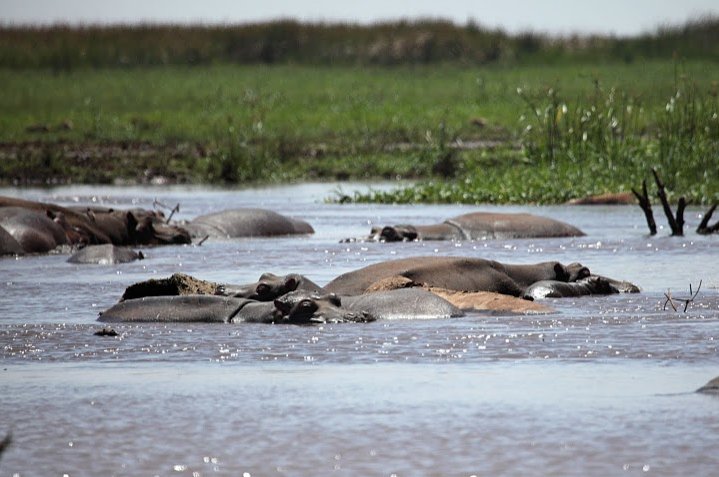 Karatu Tanzania 