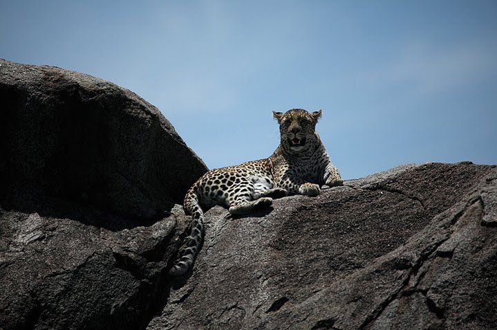 Karatu Tanzania 