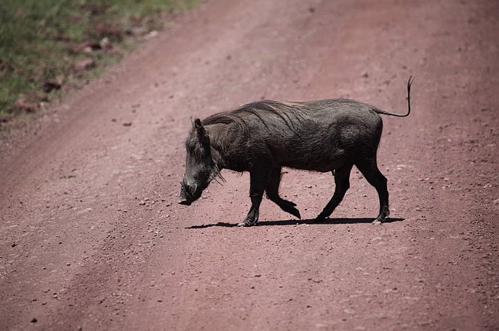 Karatu Tanzania 