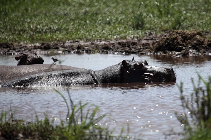 Karatu Tanzania 