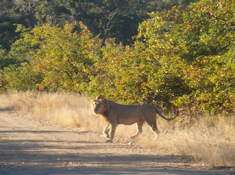 Holiday South Africa Johannesburg Zoo Travel Sharing