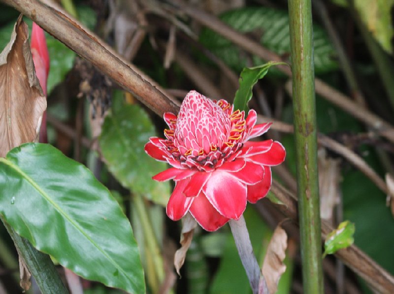 Photo Arenal Volcano National Park several