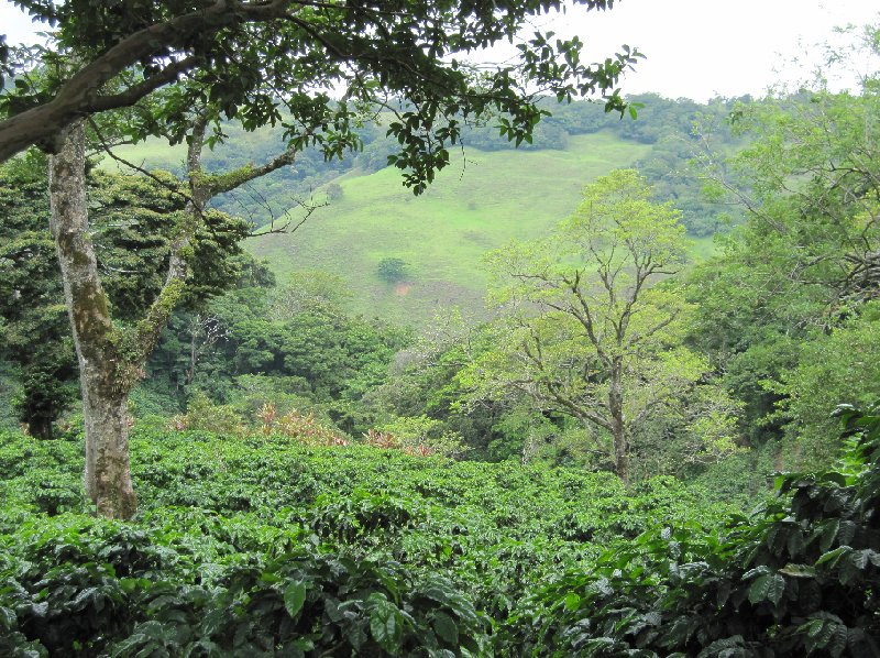 Laguna de Arenal Costa Rica 