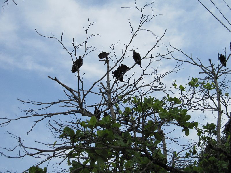 Laguna de Arenal Costa Rica 