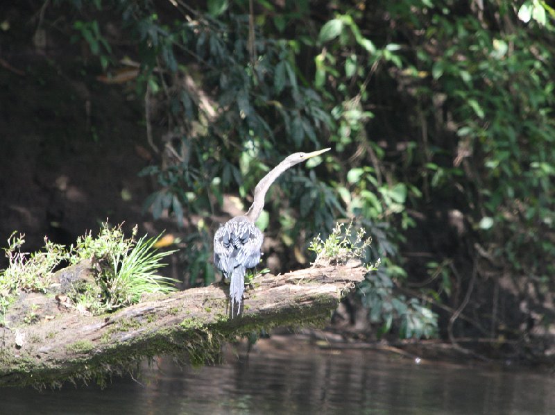   Laguna de Arenal Costa Rica Diary Pictures