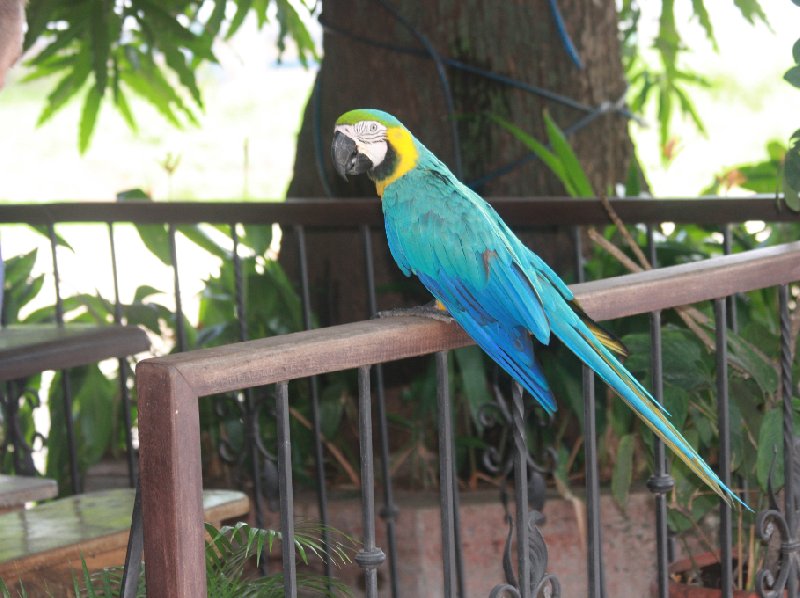 Laguna de Arenal Costa Rica 