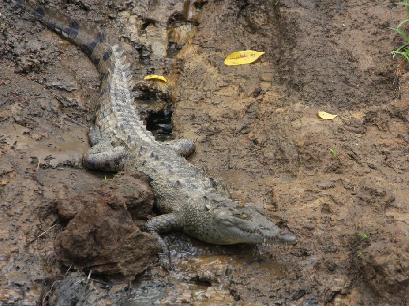 Laguna de Arenal Costa Rica 