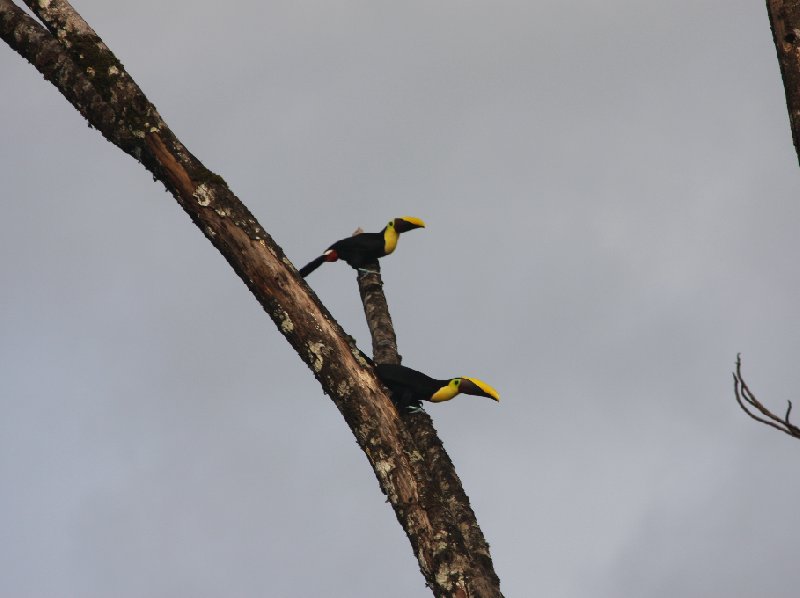 Laguna de Arenal Costa Rica 