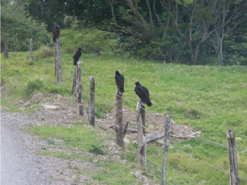 Laguna de Arenal Costa Rica 