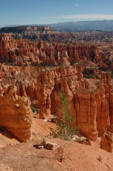   Bryce Canyon United States Diary Experience