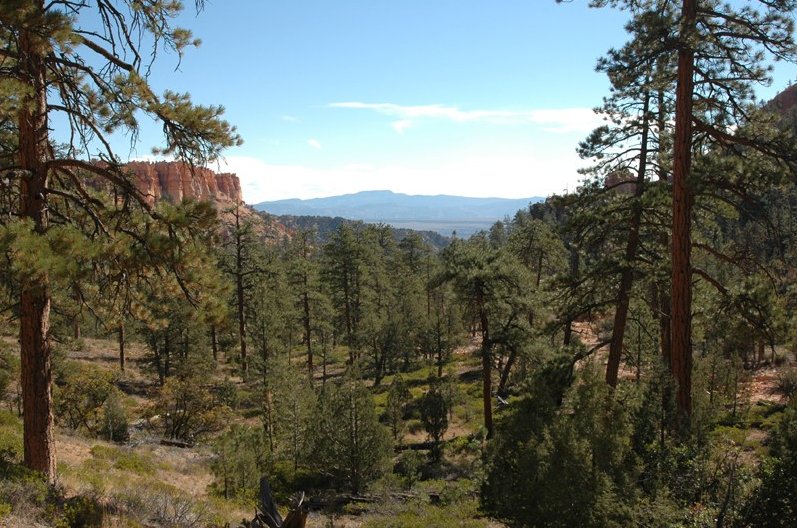 Bryce Canyon National Park United States Holiday Pictures