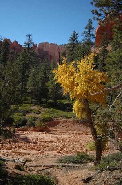   Bryce Canyon United States Trip